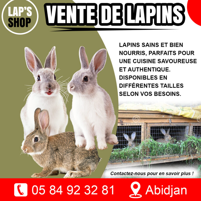 affiche lapin